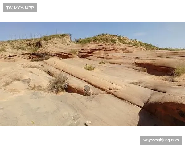 桶谷大强调半场阵地防守硬度，日本队防守轮转速度成体系关键指标